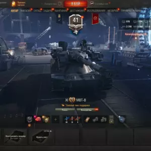 Мир Танков: аккаунт с MBT-B, FV215b (183) и FV4005 Stage II — 1 танк XI уровня, 23 танка X уровня, 13 танков IX уровня и 19 танков VIII уровня